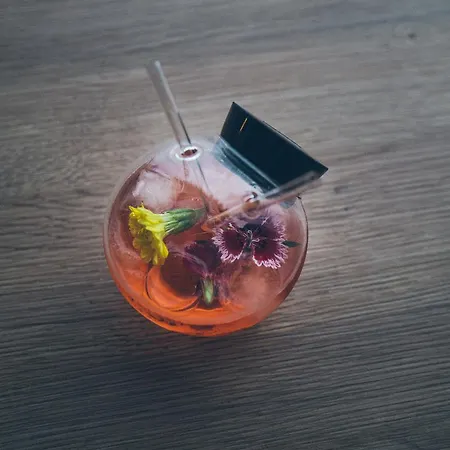 蒙佩利尔中心贝拉洛伊亚郁锦香酒店 4*
