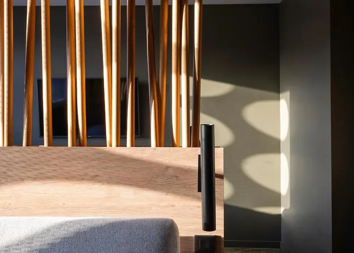 Belaroia Centre Saint Roch 4* Montpellier